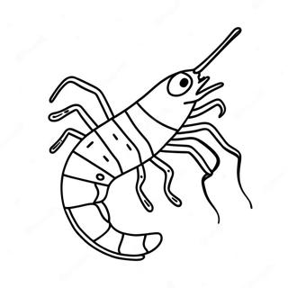 Shrimp Coloring Pages