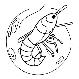 Shrimp Coloring Page 43762-35103