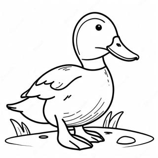 Mallard Duck Coloring Pages