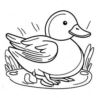 Mallard Duck Coloring Page 44632-35779