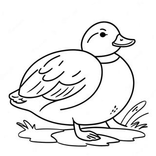 Mallard Duck Coloring Page 44632-35780