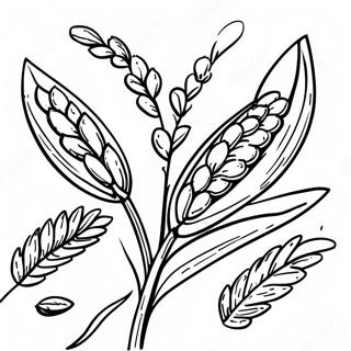 Wheat Coloring Page 44862-35966