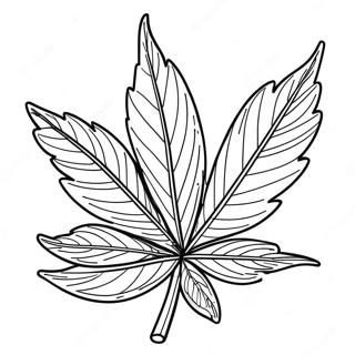 Pot Leaf Coloring Page 45632-36576