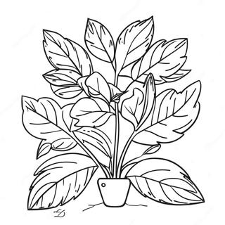 Parts Of A Plant Coloring Page 46042-36907