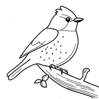 Bluebird Coloring Page 46802-37508