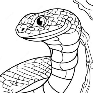 Realistic Snake Coloring Page 4691-3918