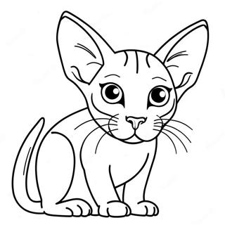 Sphynx Cat Coloring Page 46952-37622