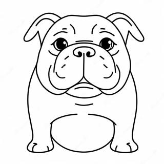 American Bully Coloring Pages