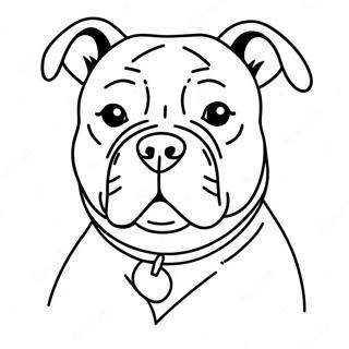 American Bully Coloring Page 47162-37792