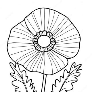 Poppy Flower Coloring Page 47612-38154