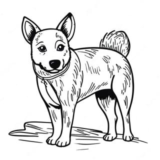 Blue Heeler Coloring Pages