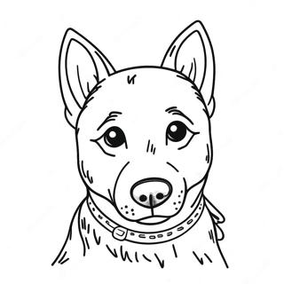 Blue Heeler Dog Coloring Page 47742-38256