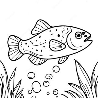 Trout Coloring Pages