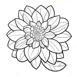 Dahlia Coloring Pages