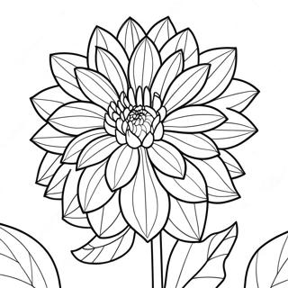 Dahlia Flower Coloring Page 49152-39384