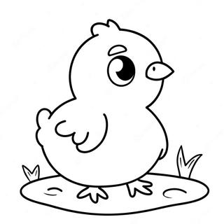 Baby Chick Coloring Pages