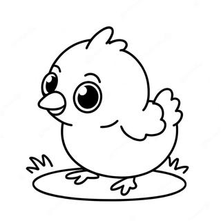 Cute Baby Chick Coloring Page 4941-4116