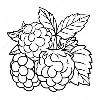 Raspberry Coloring Pages