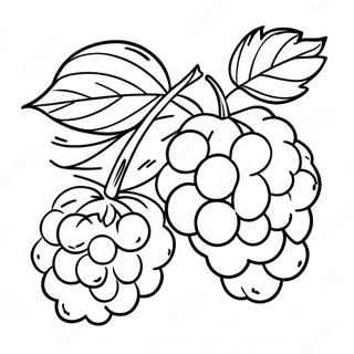 Raspberry Fruit Coloring Page 49472-43080