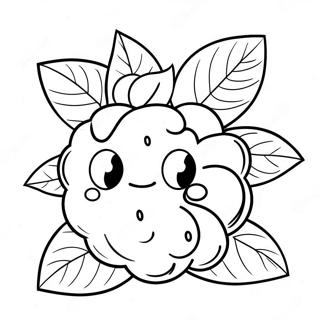 Raspberry Coloring Pages