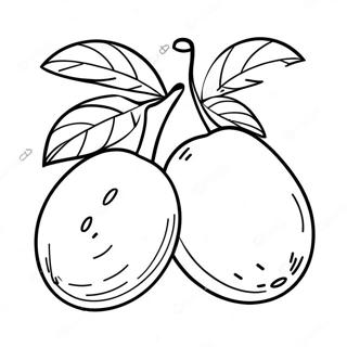 Mango Fruit Coloring Page 49522-39667