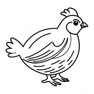 Quail Coloring Pages