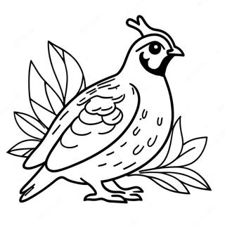 Quail Coloring Page 49622-39738