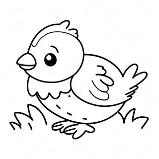 Cute Baby Quail Coloring Page 49623-39751