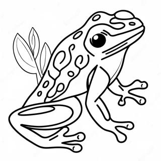 Poison Dart Frog Coloring Pages