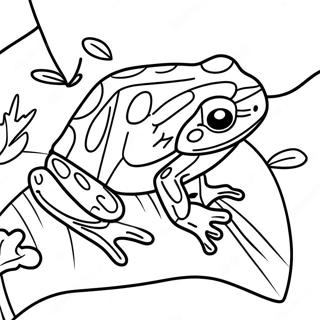 Poison Dart Frog Coloring Pages