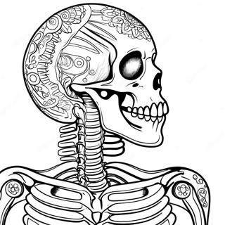 Detailed Human Skeleton Coloring Page 50353-40318