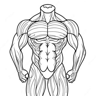 Muscle Anatomy Coloring Page 50552-40474