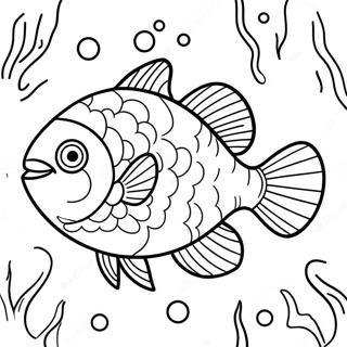 Colorful Piranha Swimming In Water Coloring Page 50773-40652