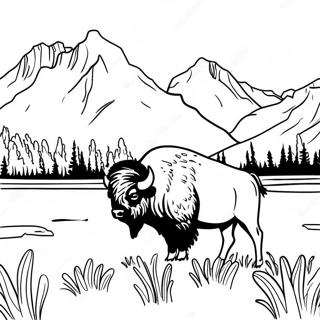 Yellowstone National Park Bison In The Meadow Coloring Page 51333-41095