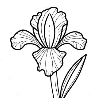 Iris Flower Coloring Page 52192-41782