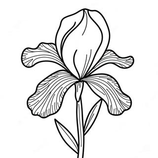 Iris Flower Coloring Page 52192-41783