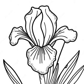 Beautiful Iris In Bloom Coloring Page 52193-41785