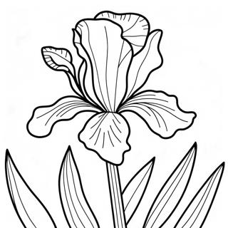 Beautiful Iris In Bloom Coloring Page 52193-41786