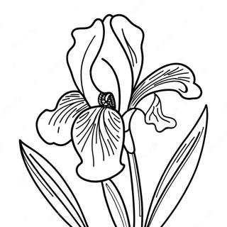 Beautiful Iris In Bloom Coloring Page 52193-41787