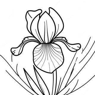 Beautiful Iris In Bloom Coloring Page 52193-41788