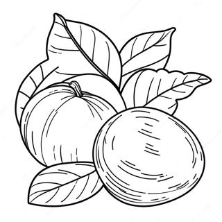 Honesty Coloring Pages