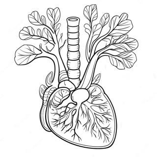 Digestive System Anatomy Coloring Page 53202-42587