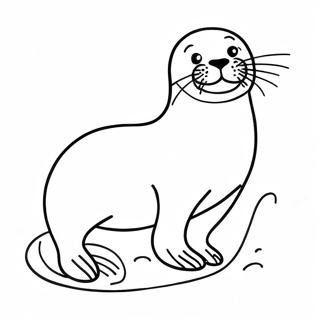 Seal Coloring Page 5361-4446