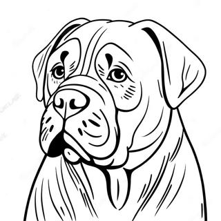 Cane Corso Coloring Pages