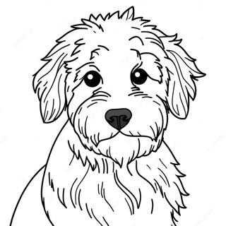 Aussiedoodle Coloring Pages