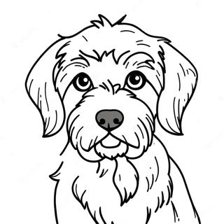 Aussiedoodle Coloring Page 54812-44174