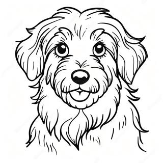 Aussiedoodle Coloring Page 54812-44175