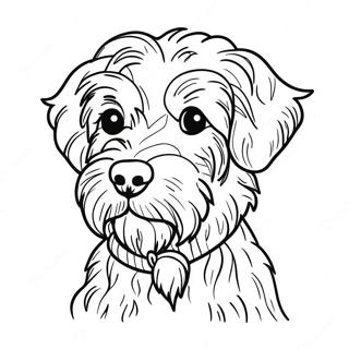 Aussiedoodle Coloring Page 54812-44176