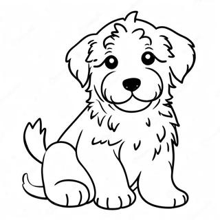 Aussiedoodle Coloring Pages