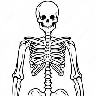 X Ray Skeleton Coloring Page 55682-44854